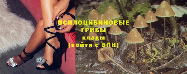 Альфа ПВП Богородицк