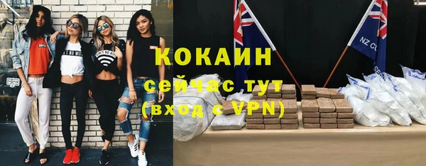 ПСИЛОЦИБИНОВЫЕ ГРИБЫ Верея