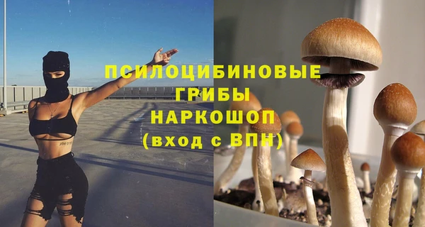 a pvp Бугульма