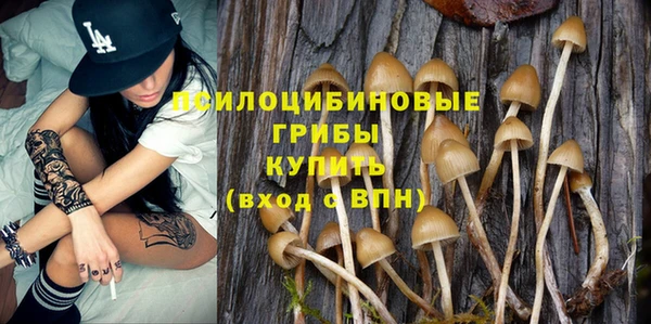 Альфа ПВП Богородицк