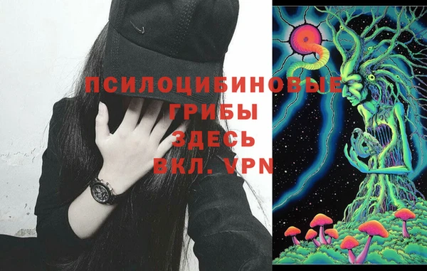 хмурый Бронницы
