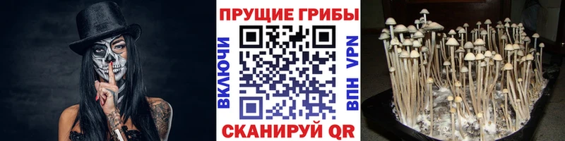 Псилоцибиновые грибы мухоморы  Городец 