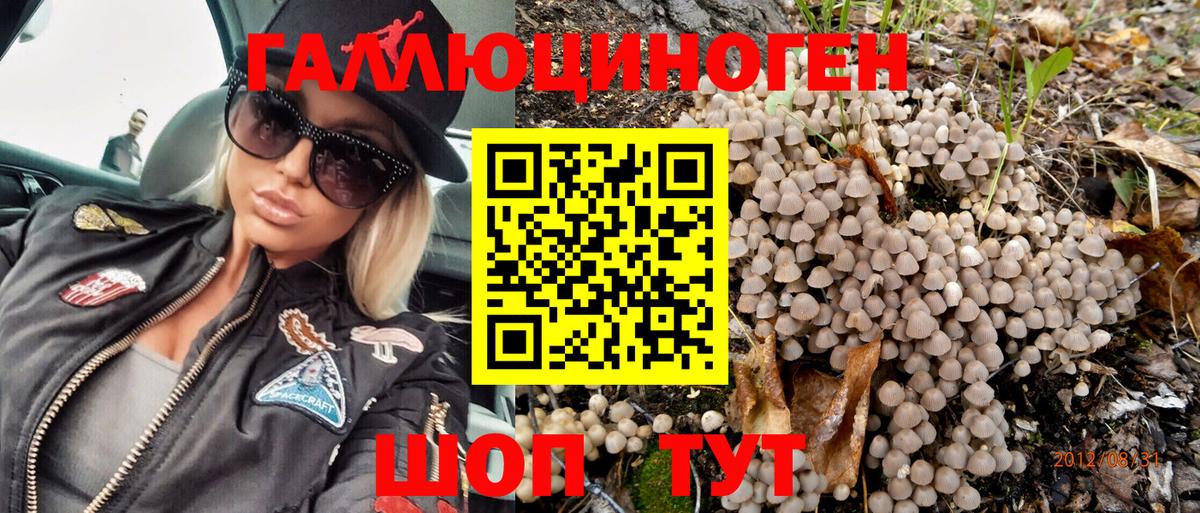 Псилоцибиновые грибы MAGIC MUSHROOMS Городец