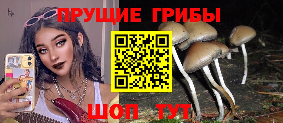Городец  Псилоцибиновые грибы MAGIC MUSHROOMS  Вход с VPN 