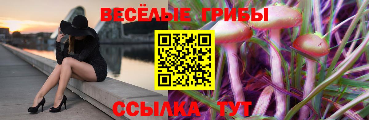 Галлюциногенные грибы прущие грибы Городец