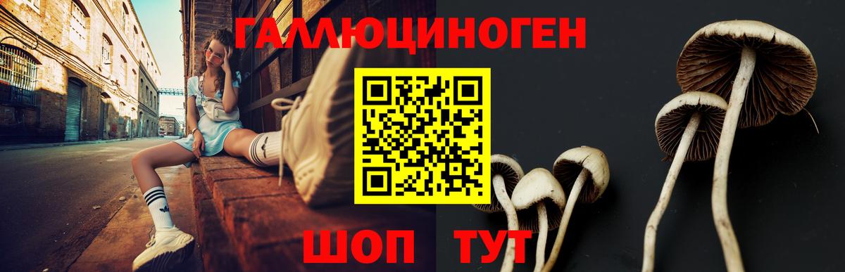 Псилоцибиновые грибы MAGIC MUSHROOMS  Городец 